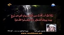حاج محمد طاهری- شهادت امام جواد(ع) سال1397 -تمام عمر پی اشتباه می گردم (روضه)
