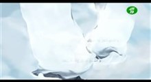 مرحوم آیت الله آقا مجتبی تهرانی : اخلاص در دعا ، اسم اعظم چیست؟