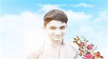 گزارش شبکه کره‌ای درباره "علی لندی" نوجوان قهرمان ایرانی