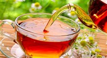 برای نوشیدن چای از چه مصلح هایی استفاده کنیم؟/ دکتر مژده پورحسینی