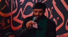 زائرای اربعین عاشقای کربلا/ سیدرضا نریمانی