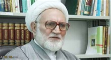چرا حضرت معصومه تنها به ایران آمدند؟/ استاد پیشوایی