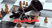بازی شطرنج دنیا/ استاد جواد فروغی
