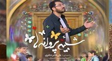 نواهنگ «شبیه پروانه ها»/ علی اکبر حائری