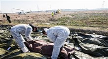 پیکر ۱۲۳ جان‌باخته سانحه سقوط هواپیمای اوکراینی شناسایی شد + اسامی
