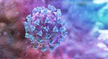 مثبت شدن آزمایشات اولیه دو مورد مشکوک به ابتلا به کروناویروس در قم