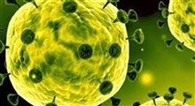 شبکه خبری سی‌ان‌ان: مقام‌های آمریکایی تا کنون ابتلای ۶۰ نفر به ویروس کرونا را تأیید کرده‌اند