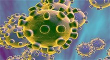 دانشمندان روسیه ای مدعی کشف ژنوم ویروس کرونا شد