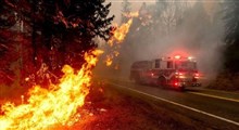 تداوم آتش سوزی در جنگلهای کالیفرنیا