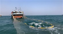 رئیس سازمان شیلات: سهمیه بنزین قایق‌های صیادی ۱۲۰۰ لیتر در ماه تعیین شد