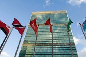 یک‌سوم کارمندان سازمان ملل می‌گویند مورد آزار جنسی قرار گرفته‌اند
