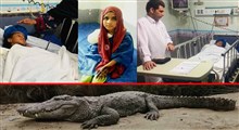 خطر تمساح خیالی بام‌لند بیشتر از گاندوی واقعی بلوچستان