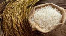 برنج مورد نیاز شب عید و ماه مبارک رمضان کشور تأمین است