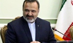 رییس سازمان حج و زیارت: ۳ شهید ایرانی منا همچنان مفقودند/ عمره برگزار نمی‌شود