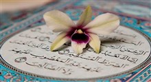شبهات وهابیت در زمینه غدیر حاکی از نگاه سطحی آنها به قرآن است