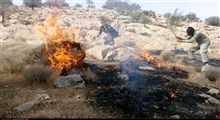 مهار آتش سوزی منطقه حفاظت شده خاییز