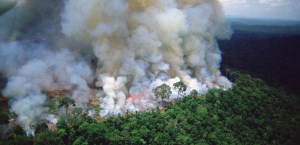 چرا آتش سوزی در آمازون برای جهان اهمیت دارد؟