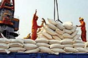 ۹۶۹ هزار تن برنج وارد شد/ کاهش ۱۲ درصدی واردات برنج نسبت به سال قبل