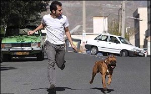 اعتراض یک بازیگر به ممنوعیت سگ‌گردانی در معابر عمومی + فیلم