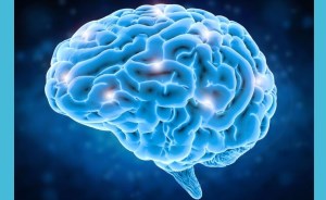 محققان دانشگاه ییل مدعی شدند می‌توان از مرگ سلولی مغز جلوگیری کرد