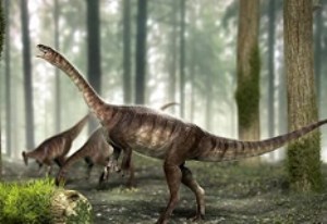 اسکلت نوعی دایناسور گیاه‌خوار در جنوب آمریکا کشف شد