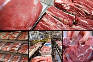 جزئیات نحوه جدید توزیع گوشت تنظیم بازاری