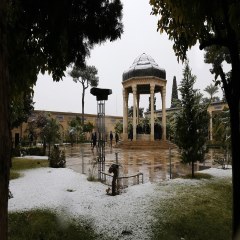 یک روز برفی در شیراز