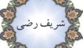 فقاهت شریف رضی (3)