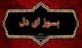 بسوز ای دل