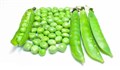 خواص نخود فرنگی و برخی از عوارض جانبی مصرف آن