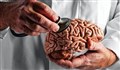 استرس مزمن چه آسیبی به مغز می رساند؟