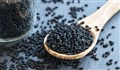 سیاه دانه بمب خاصیت