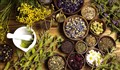 گیاهان دارویی که رحم را گرم می‌کنند