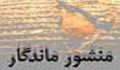 منشور ماندگار