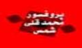 پروفسور محمد قلی شمس