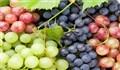 از خواص و مضرات انگور چه می دانید؟