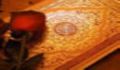 چند ضرب المثل که در قرآن آمده
