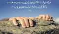مجموعه ای از احادیث امام علی(ع)