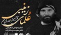 نواهنگ «علمای زینبی»/ محمدحسین حدادیان