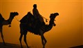سخن آوا | چهل منزل (استاد بندانی نیشابوری)