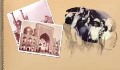 موشن گرافیک | سرنیزه رضاخانی علیه حجاب زن ایرانی