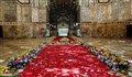گل آرایی زیبای حرم امام رضا علیه السلام
