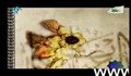 شخصیت حضرت علی، بخش 5