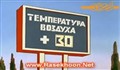 گرگ بلا و خرگوش ناقلا (16)