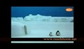 گردش - قسمت ششم