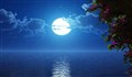 خوابیدن در مهتاب خوب است یا بد؟/ دکتر مژده پورحسینی