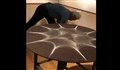 وقتی امواج شکل هندسی میسازند