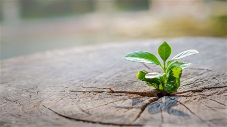 دلایل علمی که ثابت می کند نباید هرگز امیدمان را از دست بدهیم