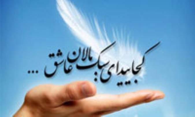 این مرگِ رنگ رنگ(2)