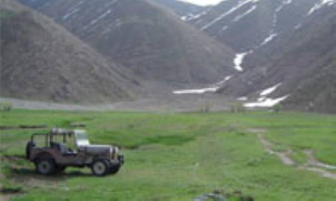 هوای خوب هویج